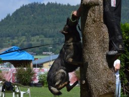 01.07.2023 offenes training 38
